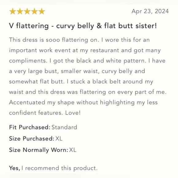 NWT Size XS  By Anthropologie MockNeck Sleeveless Seamed Dress - Picture 2 of 16